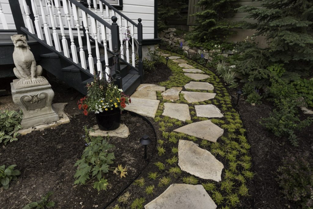 Gardened walkway leading to front steps on residential home